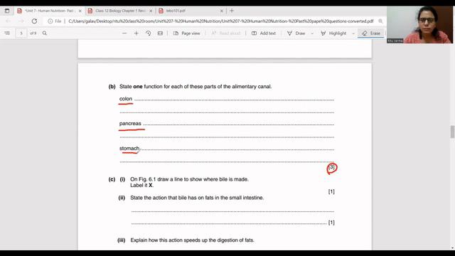 Unit 7- Human nutrition- Past paper questions- Cambridge IGCSE 0610 смотреть онлайн
