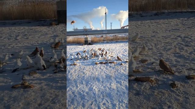 18 января 2024 г. смотреть онлайн