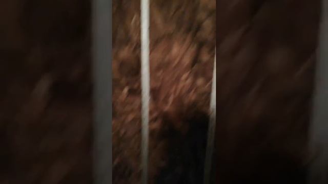 Шумоизоляция в перегородке из ГКЛ в сан. узле. смотреть онлайн