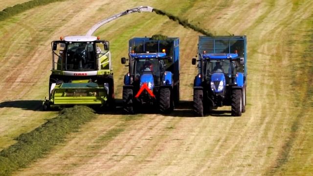 Cut The Grass - Paul Kelly смотреть онлайн