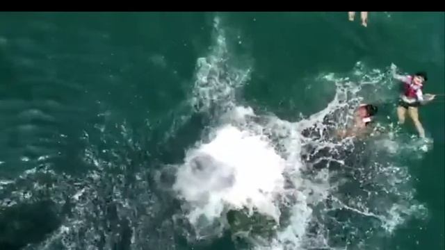 ULTIMATE SUMMER JUNK BOAT PARTY 2021 смотреть онлайн