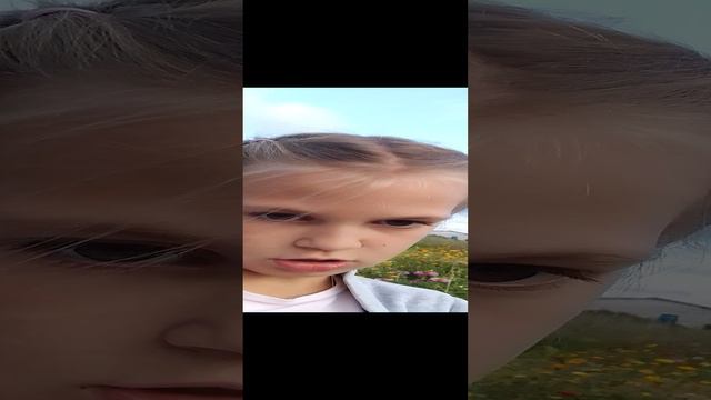 VID_20240730_185455.mp4