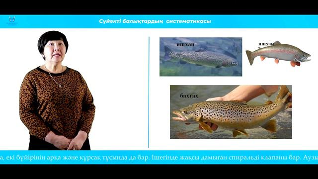 Карменова Б.К. Сүйекті балықтардың систематикасы смотреть онлайн
