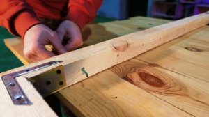 СКОЛЬКО ПРИЩЕПОК УДЕРЖАТ ЧЕЛОВЕКА?