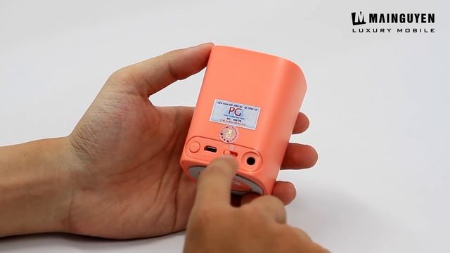 Philips Wireless Portable Speaker BT100 Review!