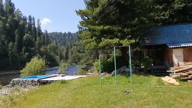 Когда жена не даёт. Пьяные мужики пристают к самке человека. Алений хоровод. Алени горные алтайские смотреть онлайн