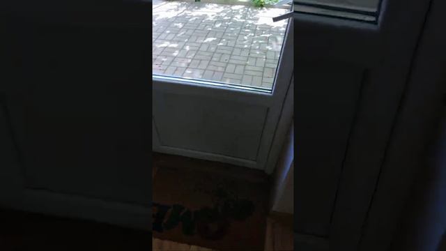 продолжение 6 части извините😣 смотреть онлайн