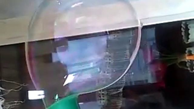 Огромный мыльный пузырь