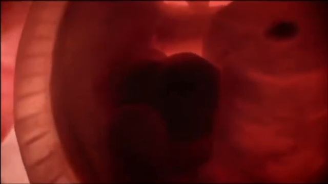 В утробе матери (In The Womb)