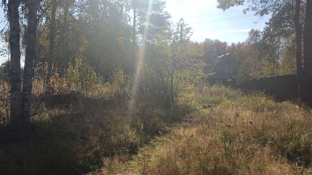 video 30 09 20 01 46 смотреть онлайн
