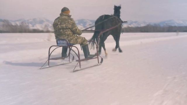 Конные забеги на Алтае