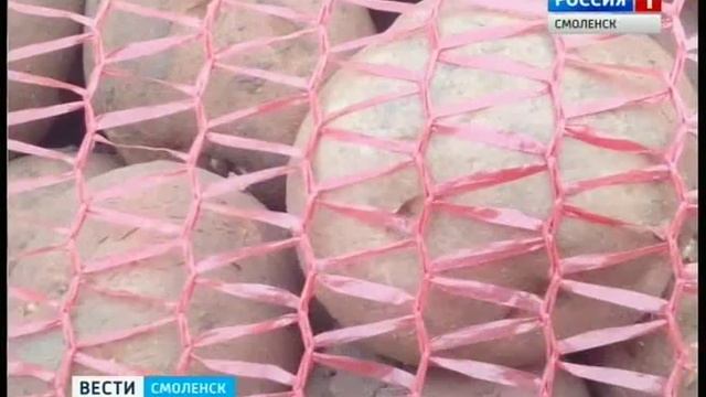 Производитель упаковки заинтересован разместить производство на Смоленщине смотреть онлайн