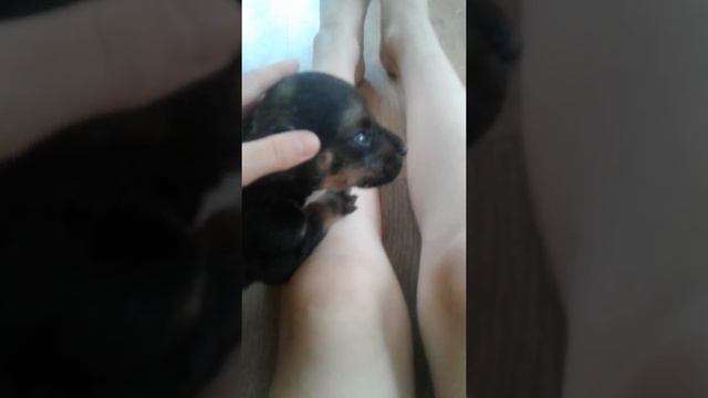 26 мая 2018 г. смотреть онлайн