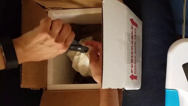 Unboxing my new Ball Python from xyz reptiles смотреть онлайн