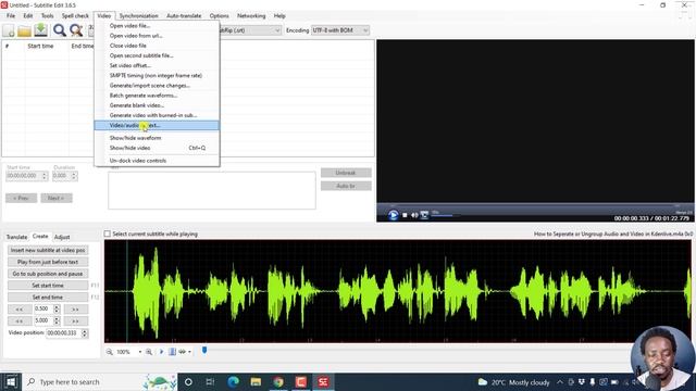 How to Create an SRT Subtitle File or Subtitles from an Audio File in Subtitle Edit смотреть онлайн