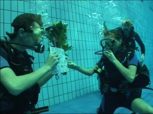 ДОМ-2 Город любви 2326 день Вечерний эфир (22.09.2010)