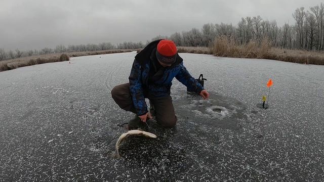 ЩУЧИЙ УРОЖАЙ ПЕРВОГО ЛЬДА. СКАЗКА, А НЕ РЫБАЛКА. смотреть онлайн