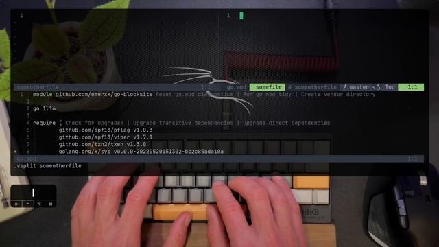 Why Vim Experts Do THIS Instead of Using Tabs... смотреть онлайн