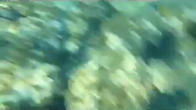 Let still be free | Давай останемся свободными смотреть онлайн