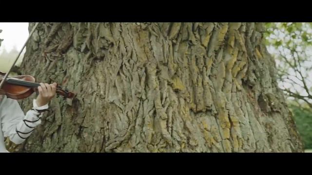 Ozoliņi   Auļi, Suitu Sievas, Suitu Vīri, Suitu Dūdenieki, Ilža, Otto Trapāns, Tarkšķi, Vil