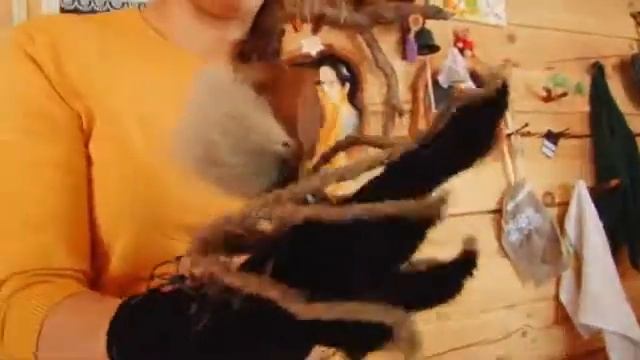 Паучок. Театр 2+КУ смотреть онлайн