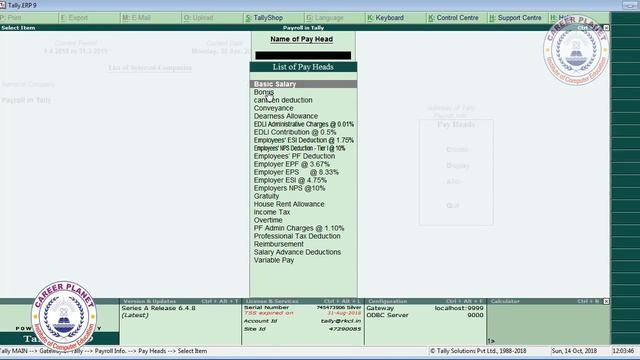 Tally Payroll-Bonus Gratuity and reimbursement Pay Heads Class-6 |Payroll in Tally ERP 9 смотреть онлайн