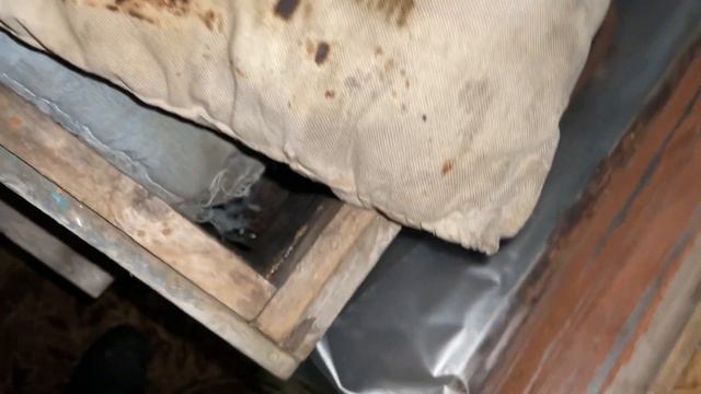 Пчёлы Подмосковья в момент пика зимы смотреть онлайн