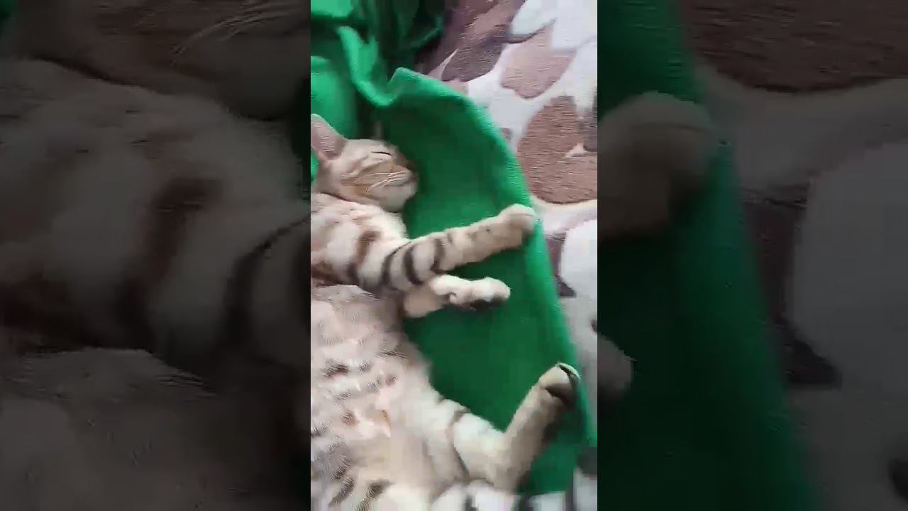 22 января 2020 г. смотреть онлайн