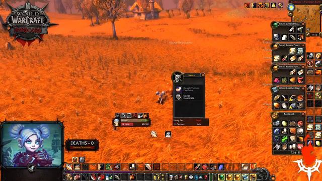 WoW Classic 💀Hardcore/Permadeath💀 ~ Tiny Gnome Defies Defias' Dungeon🏚️ | Solo Alliance Warrior 17+ смотреть онлайн
