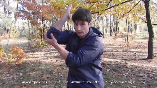 Видео уроки от А.Литвиненко-Техника ударов руками