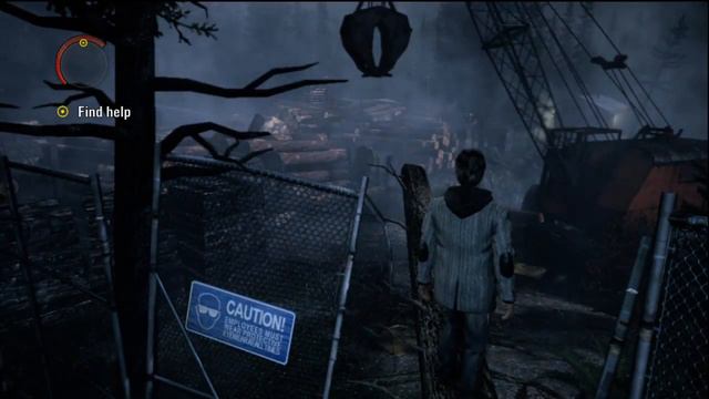 LP - Alan Wake Part 2