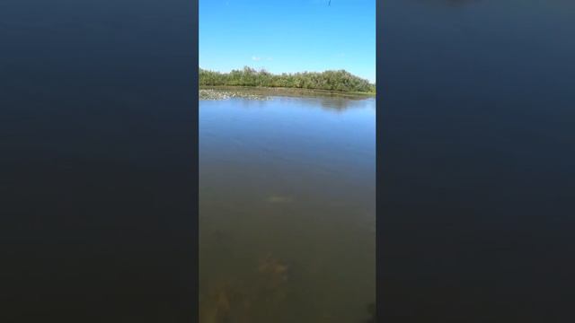 Лайфхак для новичков: как легко и просто поймать щуку😅