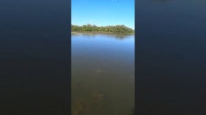 Лайфхак для новичков: как легко и просто поймать щуку😅