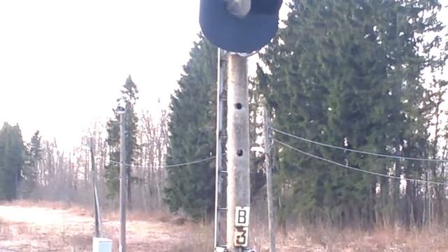 Весна. Грачи прилетели!