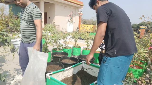 How to make Compost at Home | किचन Waste से घर पर Compost कैसे बनाए | смотреть онлайн