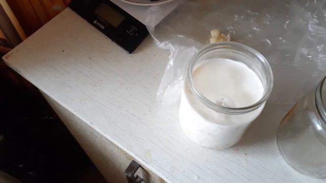 Кефирный грибок,как сохранить,и ухаживать за ним. смотреть онлайн