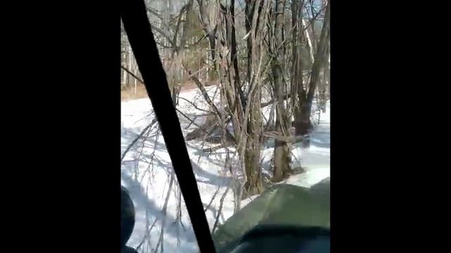 Видео от подписчика смотреть онлайн