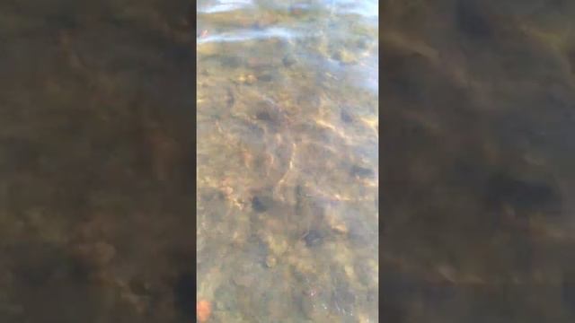 Финский залив, Маркизова лужа смотреть онлайн