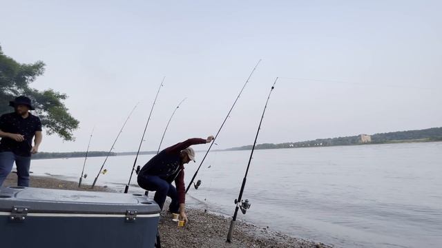 Рыбалка на Миссиссипи (в ролях участвовали ОСЕТР .САЗАН.БАФОЛО и другие) смотреть онлайн
