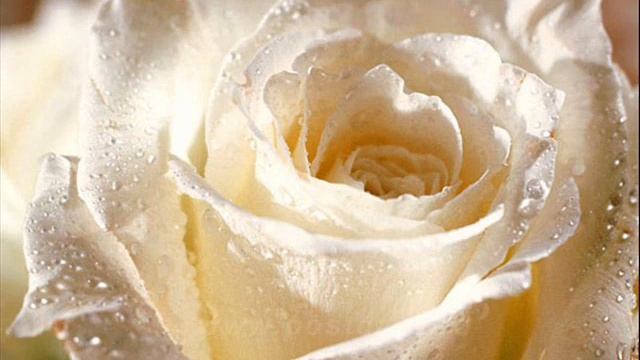 С ДНЁМ РОЖДЕНИЯ КУМА !!! смотреть онлайн