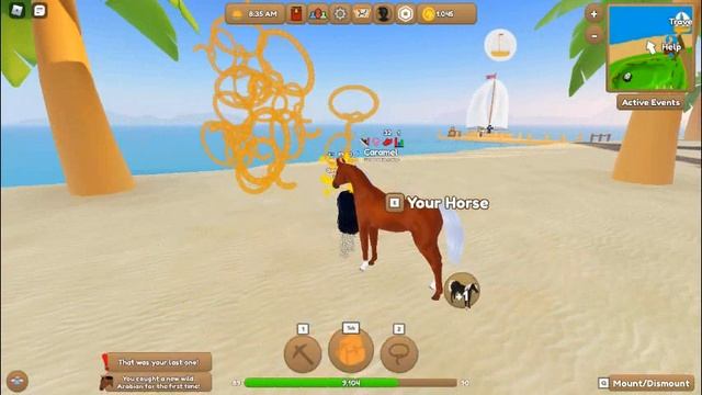 WHERE to find ARABIANS in Wild horse islands! *I ACTUALLY FOUND ONE* смотреть онлайн