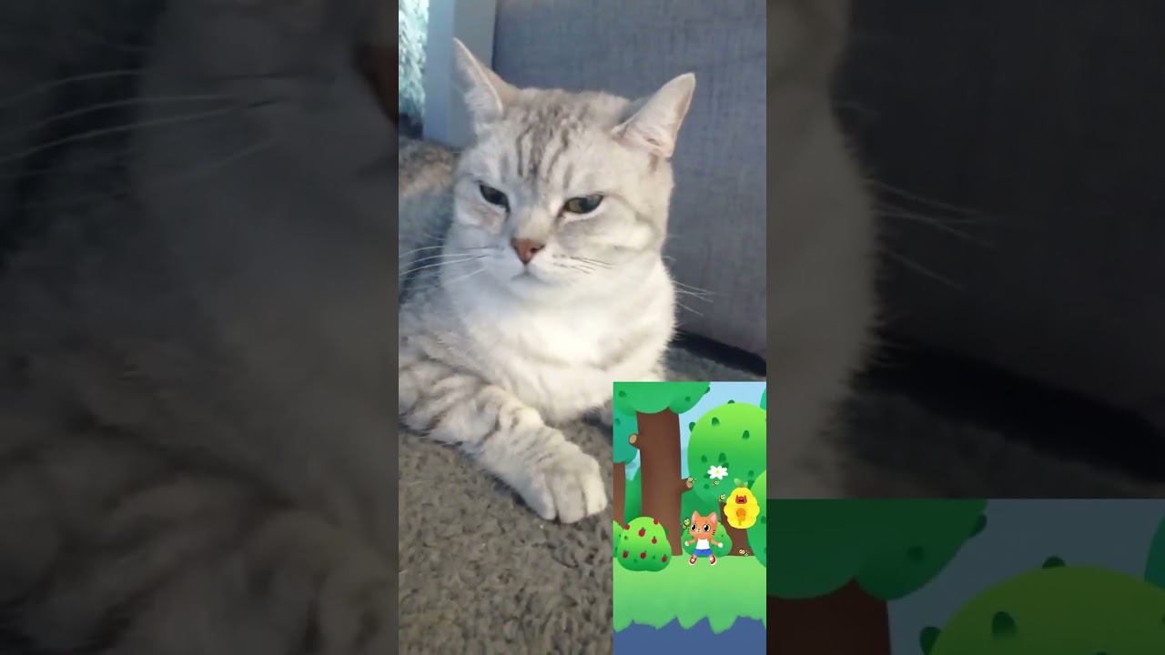 Смешная игра Симбочки #shorts смотреть онлайн