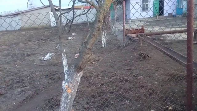 Переехали на ЮГ./ Надо что-то делать, чтобы не хандрить. смотреть онлайн