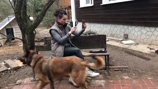 Иммунитет растений. Лекция 2 Вертикальная патосистема смотреть онлайн
