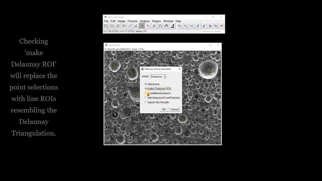 FIJI (ImageJ): Voronoi Diagrams, Tessellations & Delaunay Triangulations смотреть онлайн