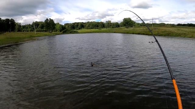 Прижилась ли ЩУКА в маленьком пруду? Четыре разные рыбалки. смотреть онлайн