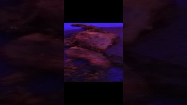 VID_20191012_171937 смотреть онлайн