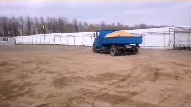 Video 20160430164600766 by videoshow смотреть онлайн