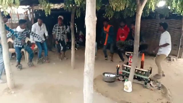 bellori tribal dance 2021 смотреть онлайн