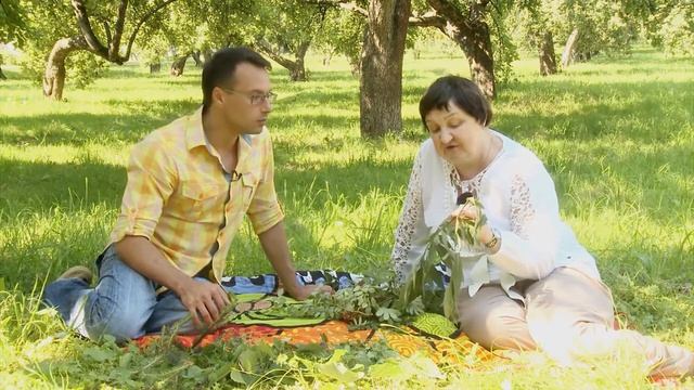 Поговорим о разных растениях и их  пользе !